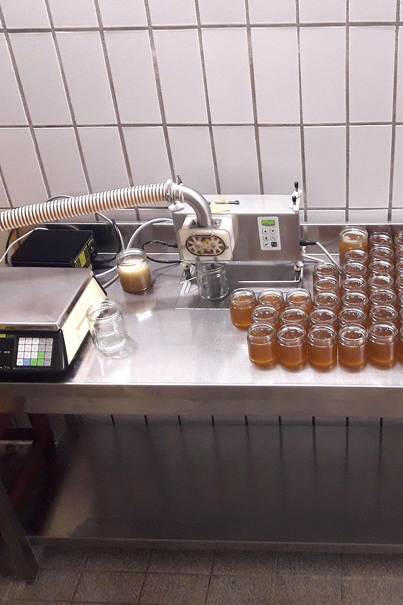 Qualitätshonig aus der Region (c) Imkerei Northoff 28879 Mölln